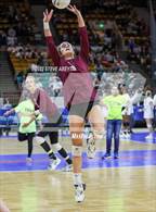 Photo from the gallery "Palmer Ridge vs. Cheyenne Mountain (CHSAA 4A 2nd Round)"