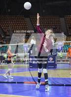 Photo from the gallery "Palmer Ridge vs. Cheyenne Mountain (CHSAA 4A 2nd Round)"