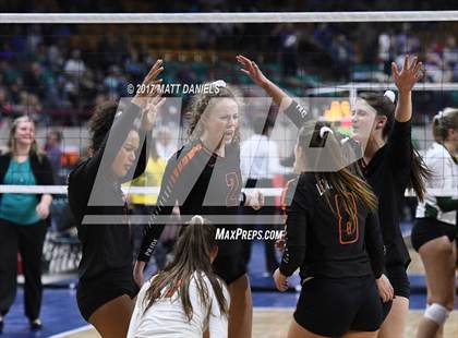 Thumbnail 3 in Lewis-Palmer vs. Niwot (CHSAA 4A Semifinal) photogallery.