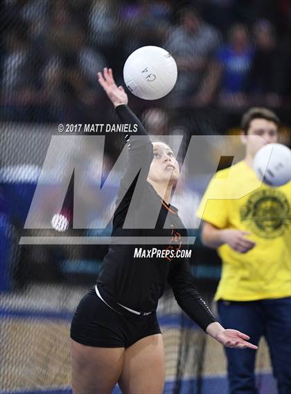 Thumbnail 2 in Lewis-Palmer vs. Niwot (CHSAA 4A Semifinal) photogallery.