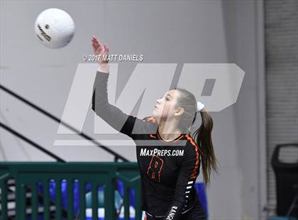 Thumbnail 2 in Lewis-Palmer vs. Niwot (CHSAA 4A Semifinal) photogallery.