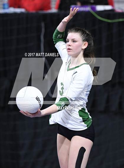 Thumbnail 1 in Lewis-Palmer vs. Niwot (CHSAA 4A Semifinal) photogallery.
