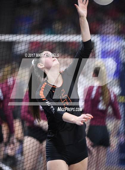 Thumbnail 1 in Lewis-Palmer vs. Niwot (CHSAA 4A Semifinal) photogallery.