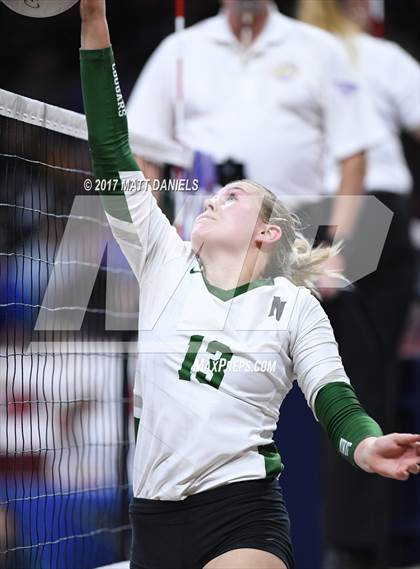 Thumbnail 2 in Lewis-Palmer vs. Niwot (CHSAA 4A Semifinal) photogallery.