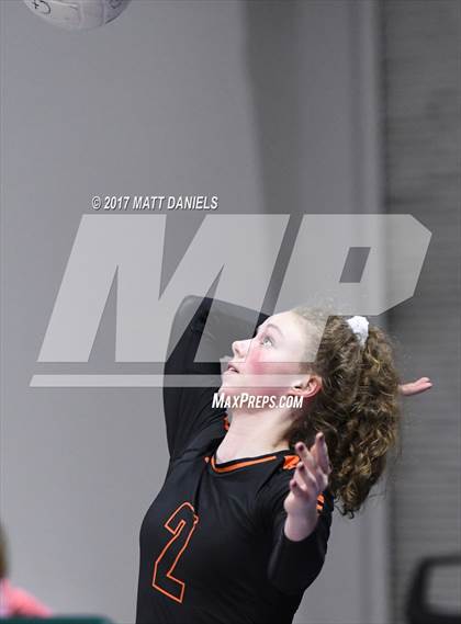 Thumbnail 2 in Lewis-Palmer vs. Niwot (CHSAA 4A Semifinal) photogallery.