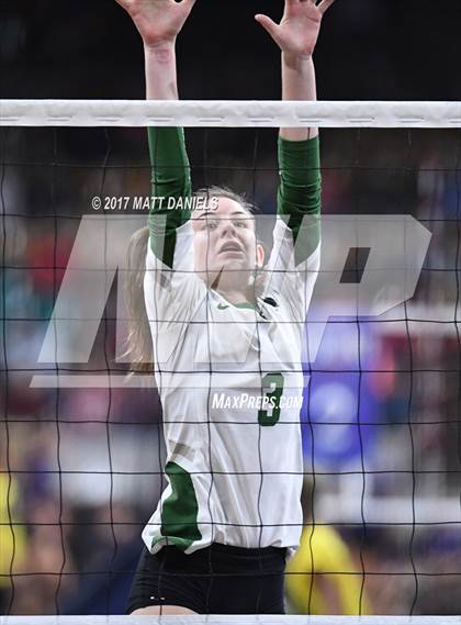 Thumbnail 2 in Lewis-Palmer vs. Niwot (CHSAA 4A Semifinal) photogallery.