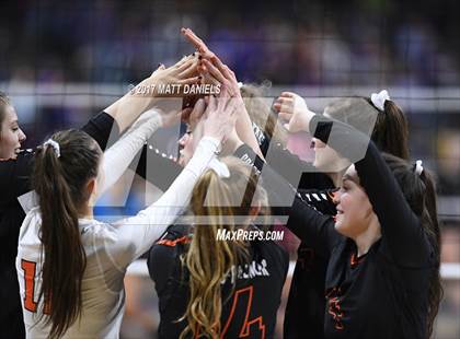 Thumbnail 1 in Lewis-Palmer vs. Niwot (CHSAA 4A Semifinal) photogallery.