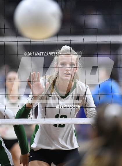 Thumbnail 1 in Lewis-Palmer vs. Niwot (CHSAA 4A Semifinal) photogallery.
