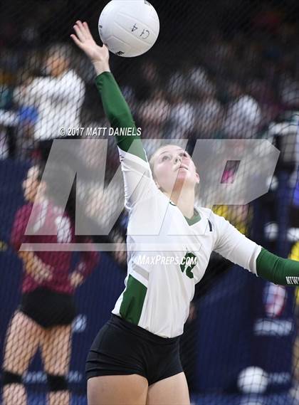 Thumbnail 3 in Lewis-Palmer vs. Niwot (CHSAA 4A Semifinal) photogallery.