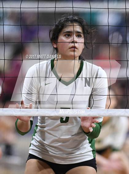 Thumbnail 3 in Lewis-Palmer vs. Niwot (CHSAA 4A Semifinal) photogallery.
