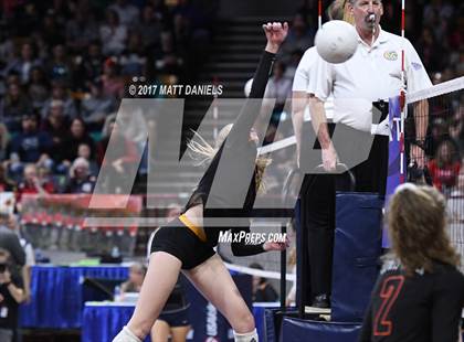 Thumbnail 3 in Lewis-Palmer vs. Niwot (CHSAA 4A Semifinal) photogallery.