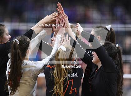 Thumbnail 3 in Lewis-Palmer vs. Niwot (CHSAA 4A Semifinal) photogallery.