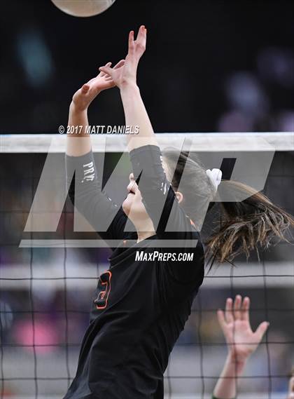 Thumbnail 2 in Lewis-Palmer vs. Niwot (CHSAA 4A Semifinal) photogallery.