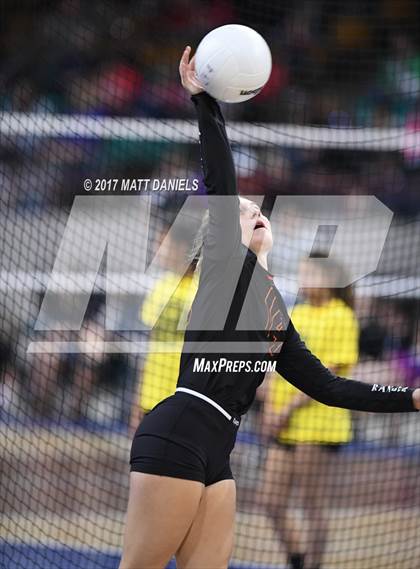 Thumbnail 3 in Lewis-Palmer vs. Niwot (CHSAA 4A Semifinal) photogallery.