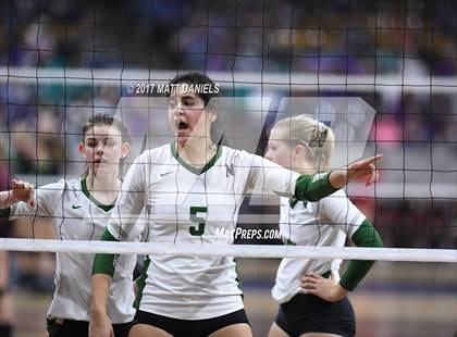 Thumbnail 1 in Lewis-Palmer vs. Niwot (CHSAA 4A Semifinal) photogallery.