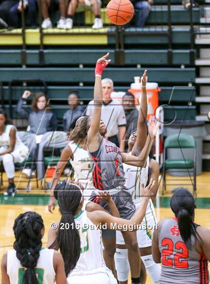 Thumbnail 3 in Cedar Hill @ DeSoto photogallery.