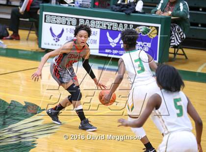 Thumbnail 1 in Cedar Hill @ DeSoto photogallery.