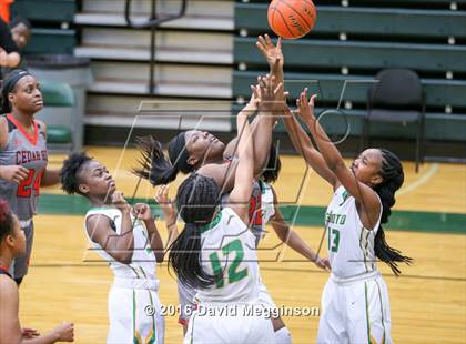 Thumbnail 2 in Cedar Hill @ DeSoto photogallery.