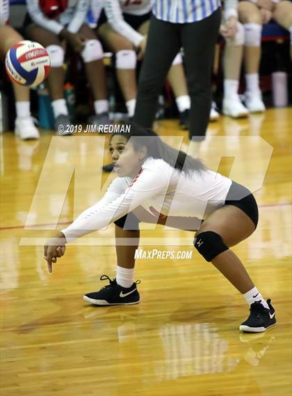 Thumbnail 1 in Rouse @ Leander photogallery.