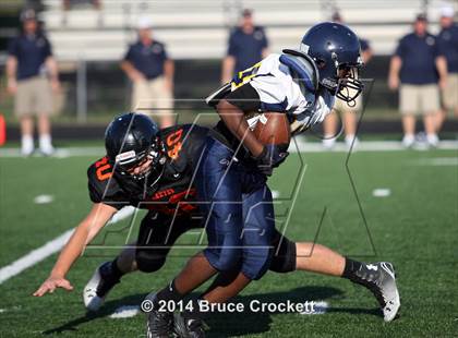 Thumbnail 3 in Pine Tree @ Gilmer photogallery.