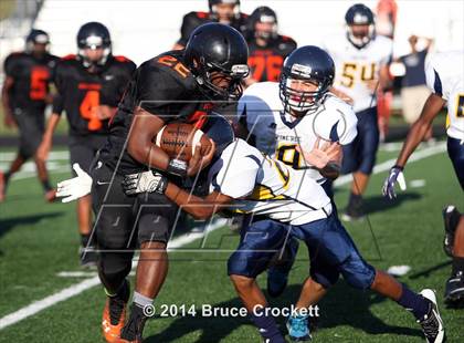 Thumbnail 3 in Pine Tree @ Gilmer photogallery.