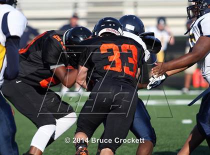 Thumbnail 3 in Pine Tree @ Gilmer photogallery.