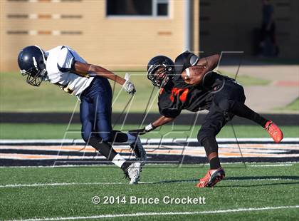 Thumbnail 3 in Pine Tree @ Gilmer photogallery.