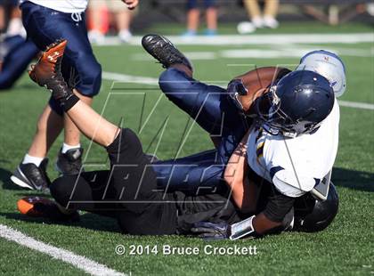 Thumbnail 1 in Pine Tree @ Gilmer photogallery.