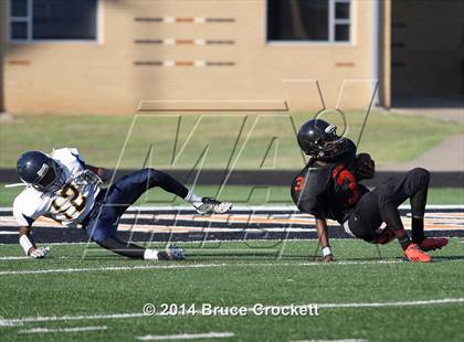 Thumbnail 3 in Pine Tree @ Gilmer photogallery.
