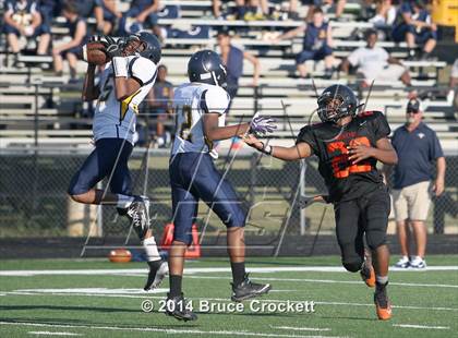 Thumbnail 3 in Pine Tree @ Gilmer photogallery.