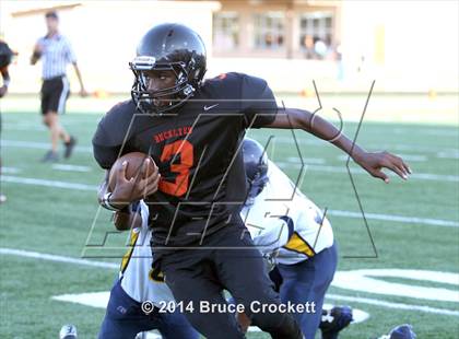 Thumbnail 3 in Pine Tree @ Gilmer photogallery.
