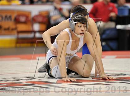 Thumbnail 2 in PIAA AAA Wrestling Championships (Semifinals) photogallery.