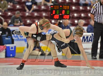 Thumbnail 3 in PIAA AAA Wrestling Championships (Semifinals) photogallery.