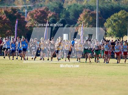 Thumbnail 2 in NCHSAA 4A Boys Cross Country Championships photogallery.