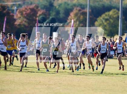 Thumbnail 2 in NCHSAA 4A Boys Cross Country Championships photogallery.