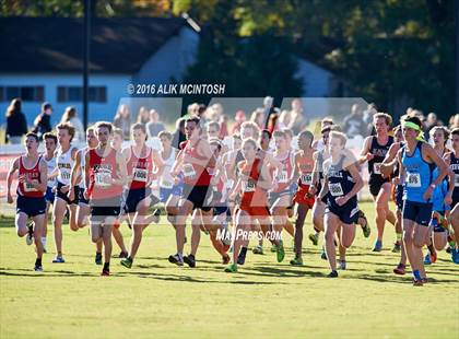 Thumbnail 1 in NCHSAA 4A Boys Cross Country Championships photogallery.