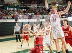 Photo from the gallery "South Webster vs. Trimble (OHSAA Division IV District Final)"