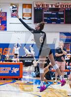 Photo from the gallery "Westwood @ Shadow Ridge (Westwood TOC)"
