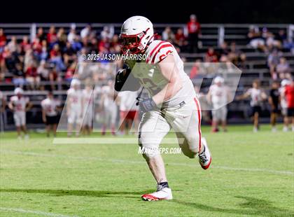 Thumbnail 3 in JV: Muenster @ Lindsay photogallery.