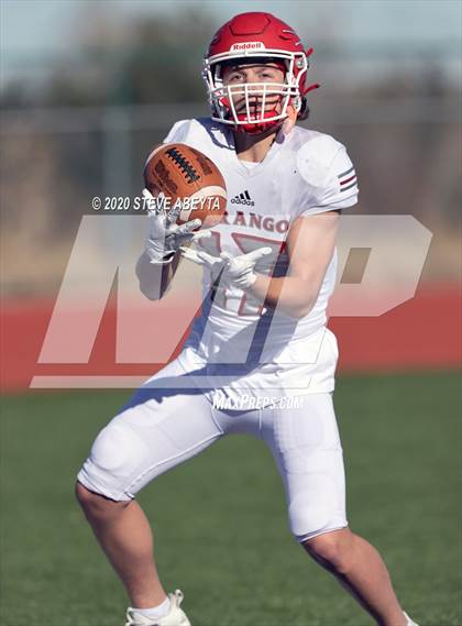 Thumbnail 1 in Durango vs Holy Family (CHSAA 3A Semifinal) photogallery.