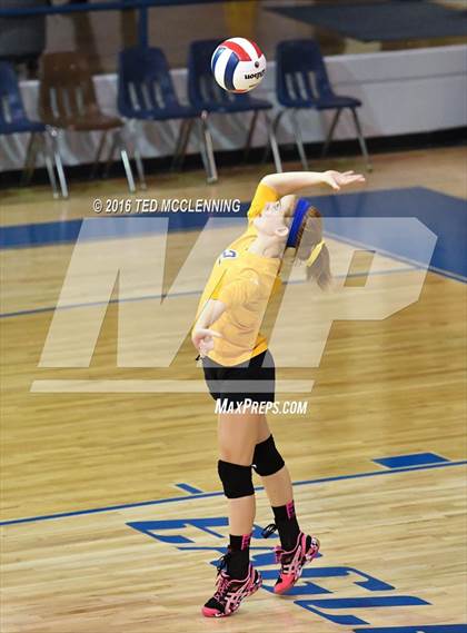 Thumbnail 1 in Bergman vs. Newport (AHSAA 3A 2nd Round Playoff) photogallery.