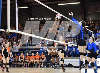 Thumbnail 3 in Bergman vs. Newport (AHSAA 3A 2nd Round Playoff) photogallery.