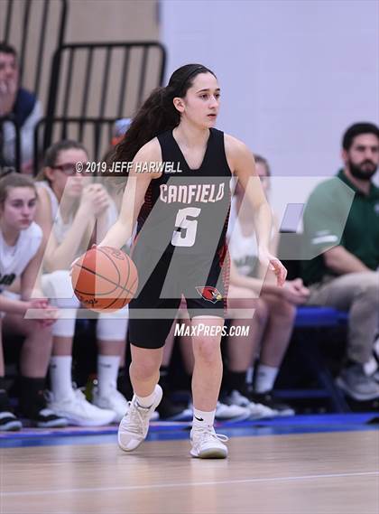 Thumbnail 1 in Canfield vs. Aurora  (OHSAA Division 1 District Semifinal) photogallery.