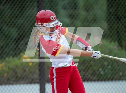 Thumbnail 3 in Mater Dei Catholic @ Cathedral Catholic photogallery.