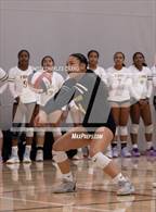 Photo from the gallery "Bishop O'Dowd @ Rancho Cotate (28th NorCal Invitational)"