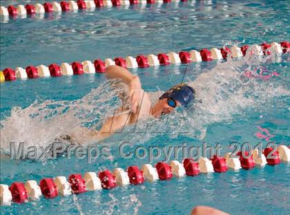 Thumbnail 2 in CIAC Class M Trials (Through 500 Freestyle) photogallery.