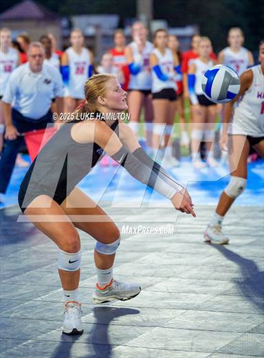 null - Photo 01