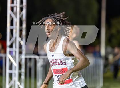 Thumbnail 1 in Desert Twilight XC photogallery.