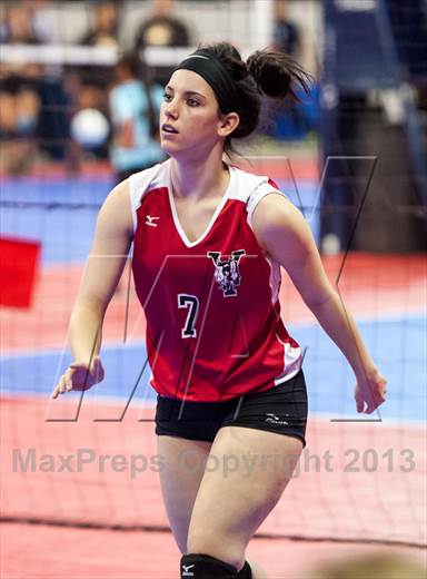 null - Photo 41