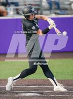 Photo from the gallery "Klein Collins @ Willis (UIL Baseball 6A Region 2 Area)"